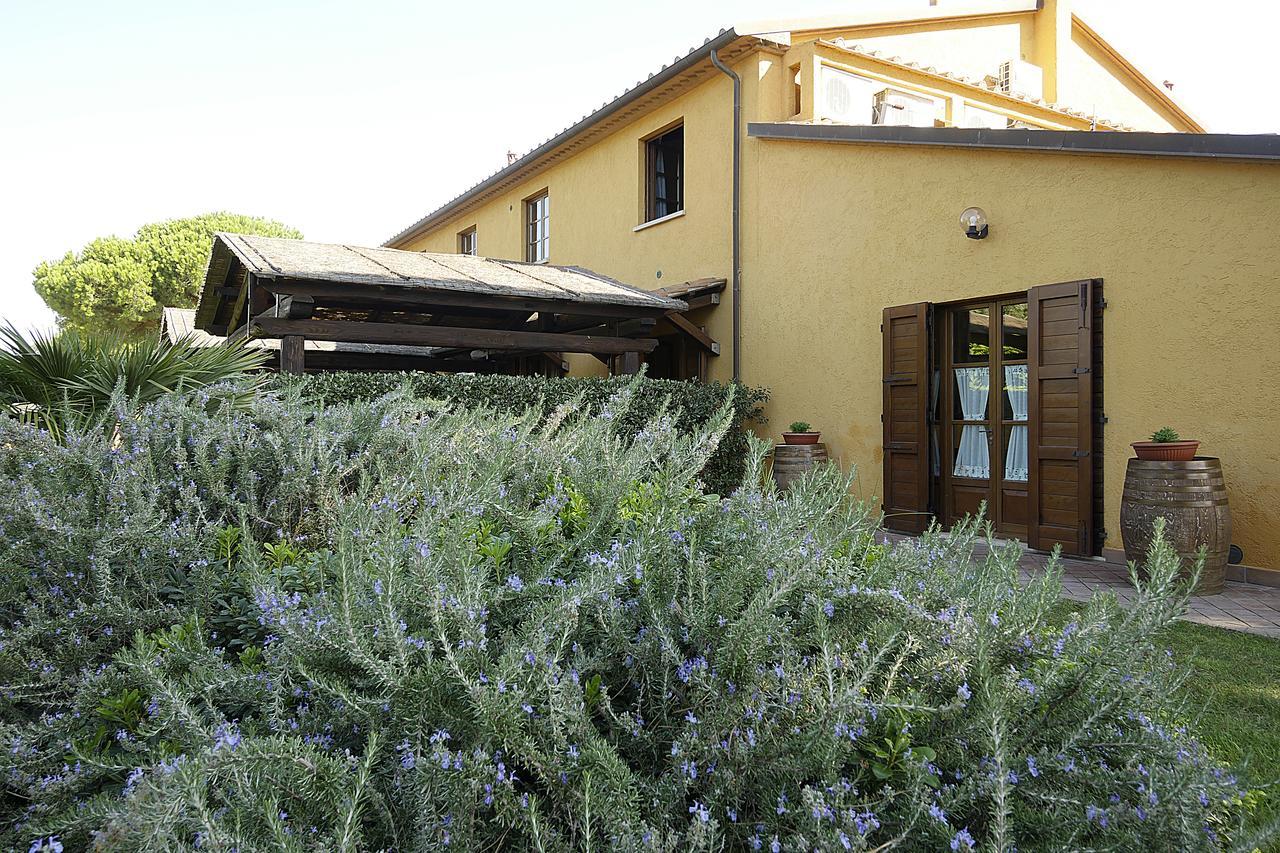 Il Pelago