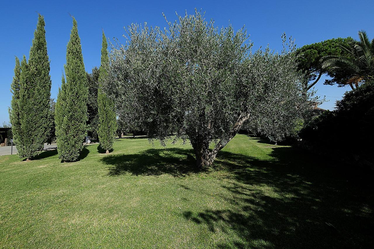 Il Pelago Alloggio per agriturismo *