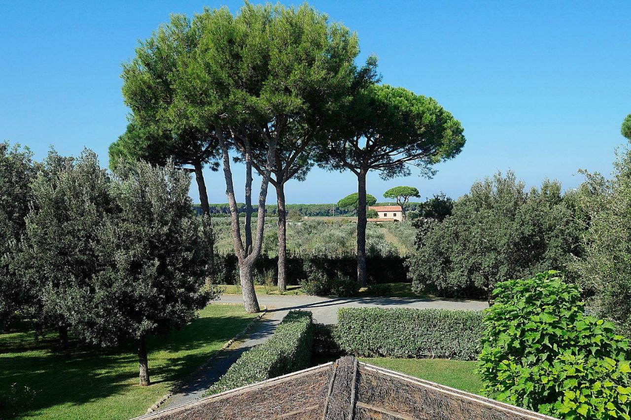 Il Pelago Castagneto Carducci