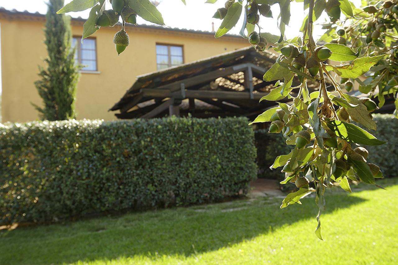 Agriturismo Il Pelago Castagneto Carducci